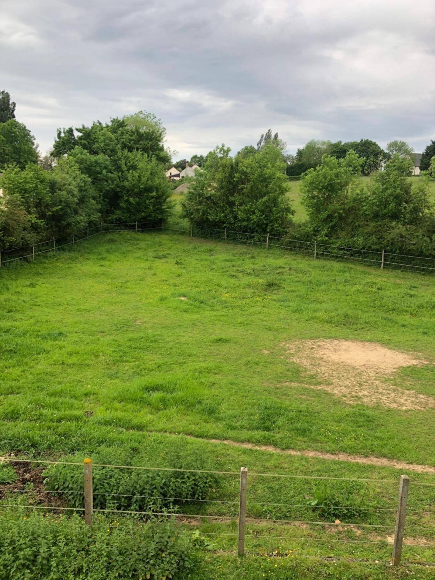 Gite Aux Anes Avec Spa Menetou-Ratel Exterior foto